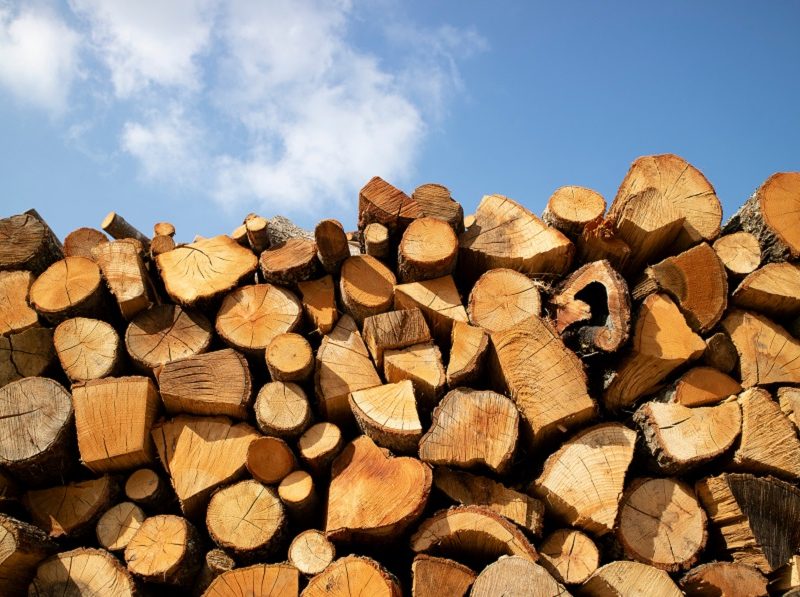 Как выгодно купить необработанную древесину через Prozorro